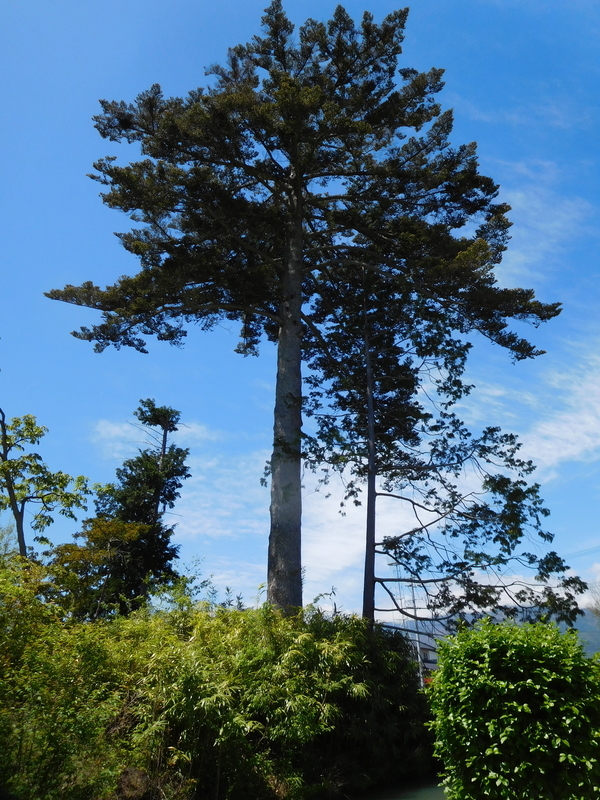 f:id:henrilesidaner:20220103101340j:plain