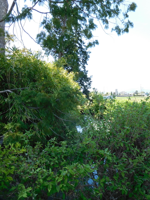 f:id:henrilesidaner:20220103101457j:plain
