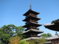 [Sanuki]七十番本山寺五重塔