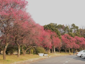 20090203152438