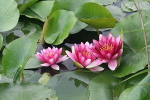 20110607122013