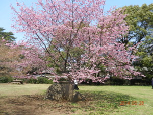20140328105626