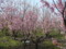 20140401132811