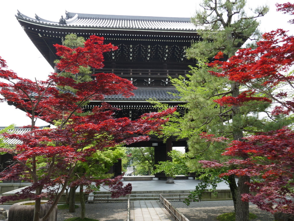f:id:henrymiura:20180517114611j:plain f:id:henrymiura:20180517114611j:plain