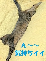 f:id:hentekomura:20170905165531j:plain f:id:hentekomura:20170905165531j:plain