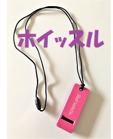 f:id:hentekomura:20171212021335j:plain f:id:hentekomura:20171212021335j:plain