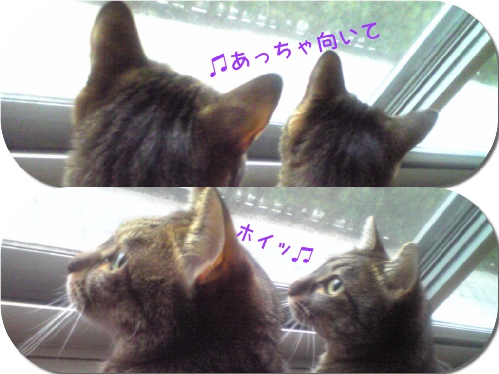 f:id:hentekomura:20180402191109j:plain f:id:hentekomura:20180402191109j:plain
