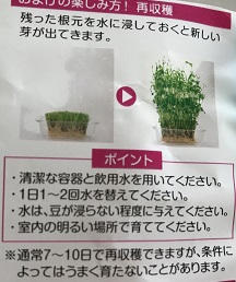 f:id:hentekomura:20190115132238j:plain f:id:hentekomura:20190115132238j:plain