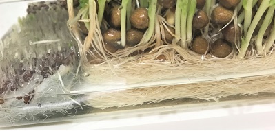 f:id:hentekomura:20190115132518j:plain f:id:hentekomura:20190115132518j:plain