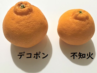 f:id:hentekomura:20190314011752j:plain f:id:hentekomura:20190314011752j:plain