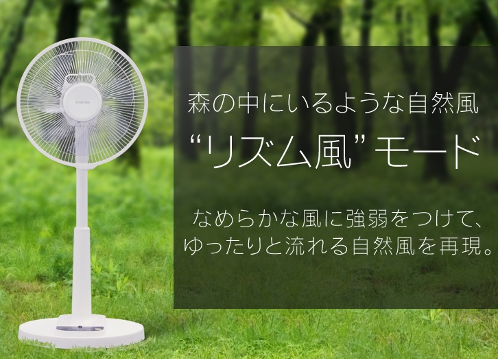 f:id:hentekomura:20190519185535j:plain f:id:hentekomura:20190519185535j:plain