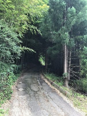f:id:hentekomura:20190719191541j:plain f:id:hentekomura:20190719191541j:plain