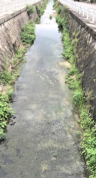 f:id:hentekomura:20190719191648j:plain f:id:hentekomura:20190719191648j:plain