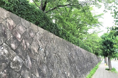 f:id:hentekomura:20190719191716j:plain f:id:hentekomura:20190719191716j:plain