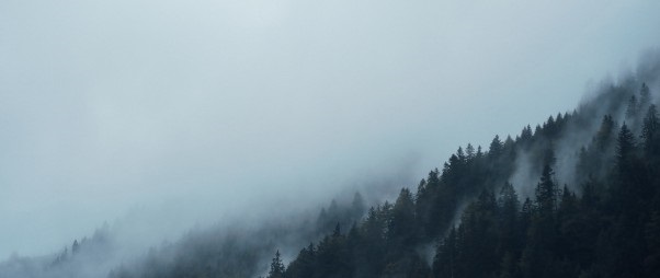 f:id:hentekomura:20200612141325j:plain