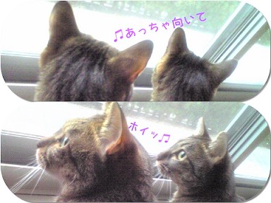 f:id:hentekomura:20200830135501j:plain f:id:hentekomura:20200830135501j:plain