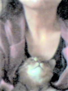 f:id:hentekomura:20200904200031j:plain f:id:hentekomura:20200904200031j:plain