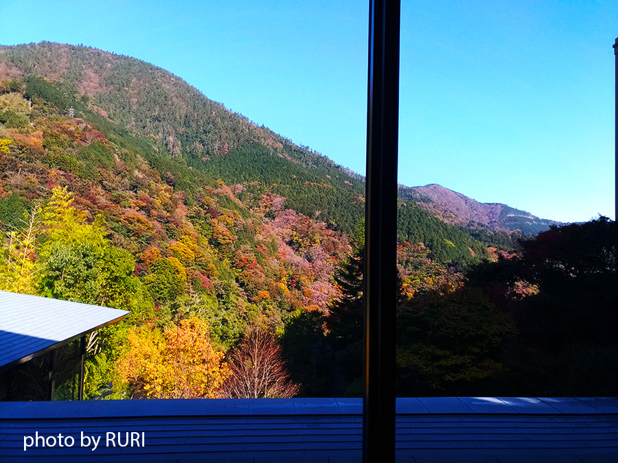 f:id:henun:20201123091828j:plain