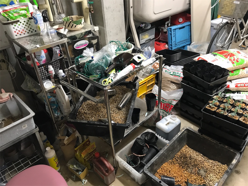 f:id:hepatica_japonica:20170626222502j:image