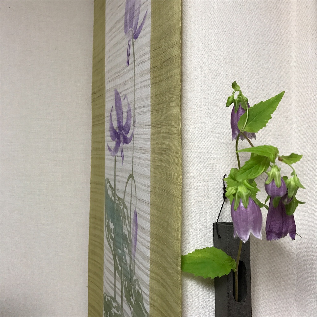 f:id:hepatica_japonica:20170626222900j:image