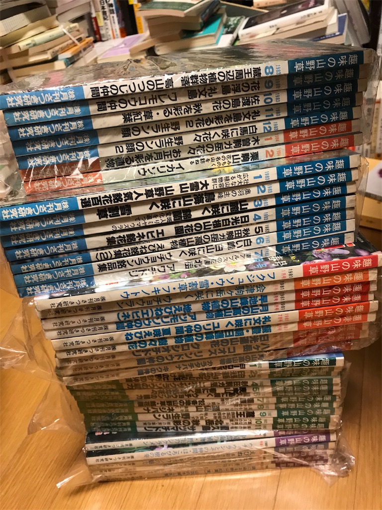 f:id:hepatica_japonica:20170828203208j:image