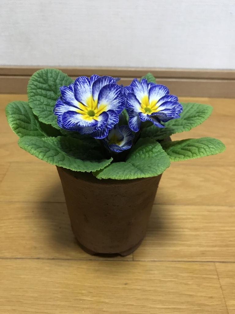 f:id:hepatica_japonica:20171217101703j:plain