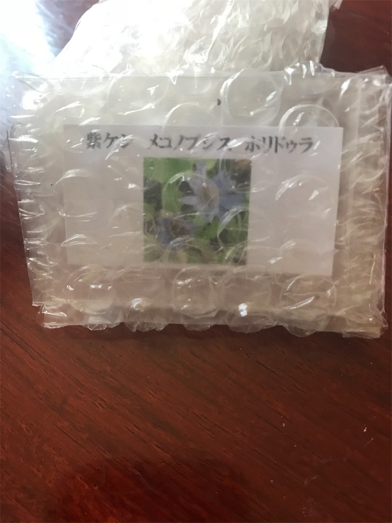 f:id:hepatica_japonica:20180728115632j:image