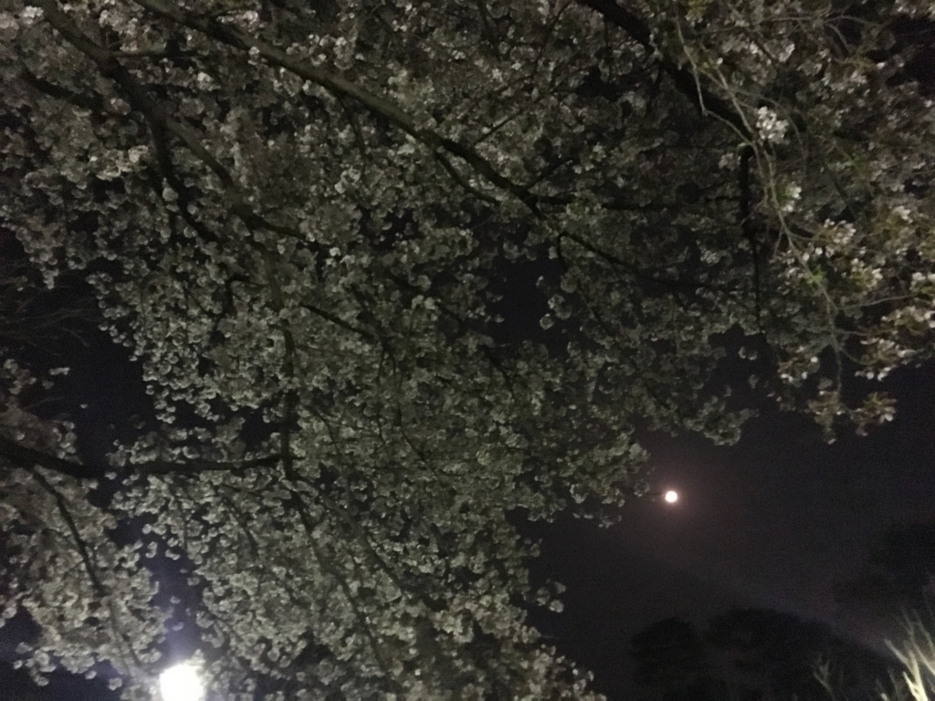 f:id:heppokomdphd:20180405153140j:plain f:id:heppokomdphd:20180405153140j:plain