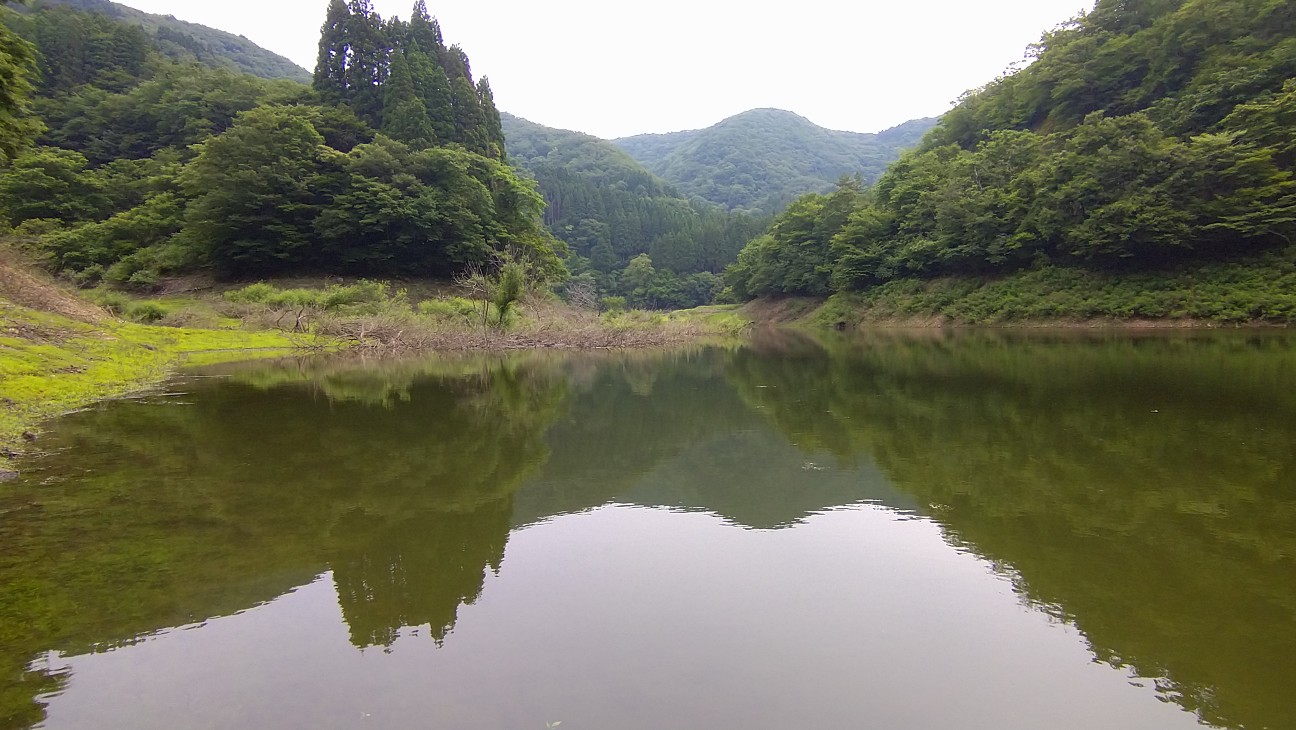 f:id:herabunaman:20260702192703j:image
