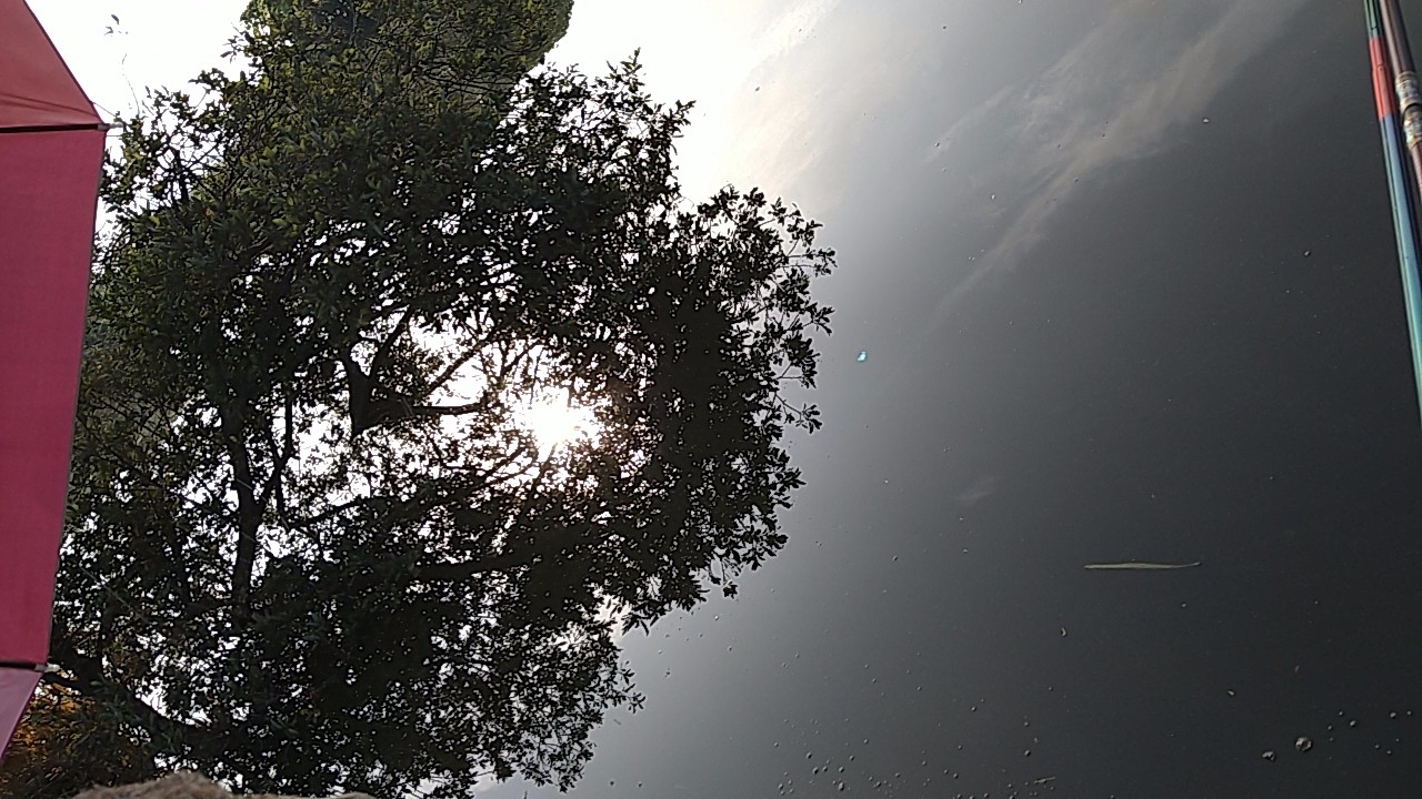 f:id:herabunaman:20260723185331j:image