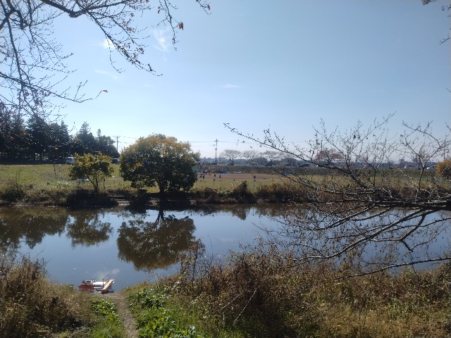 f:id:herataro:20251116200257j:image f:id:herataro:20251116200257j:image