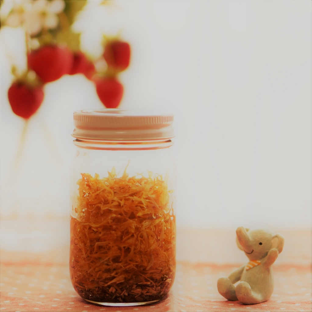 f:id:herballife:20170318071040j:plain