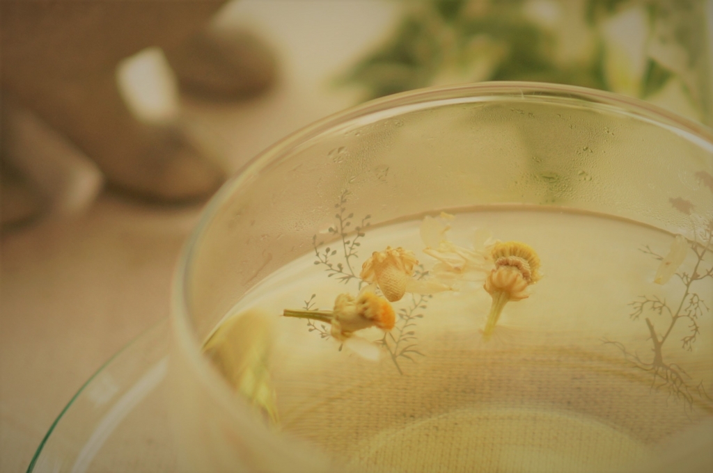 f:id:herballife:20170613001943j:plain f:id:herballife:20170613001943j:plain