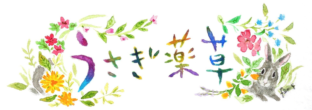 f:id:herballife:20190127224415j:plain