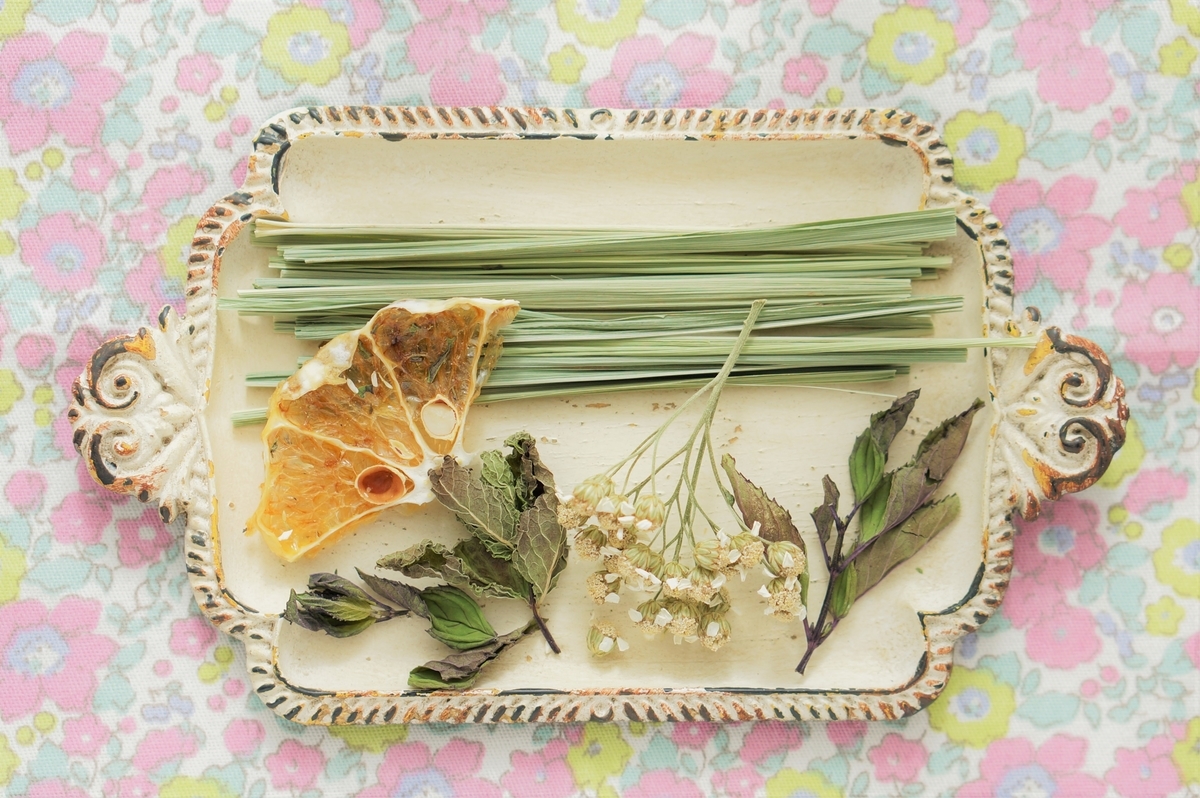f:id:herballife:20200716172858j:plain