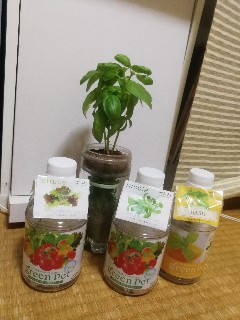 f:id:herbland:20170919070857j:image