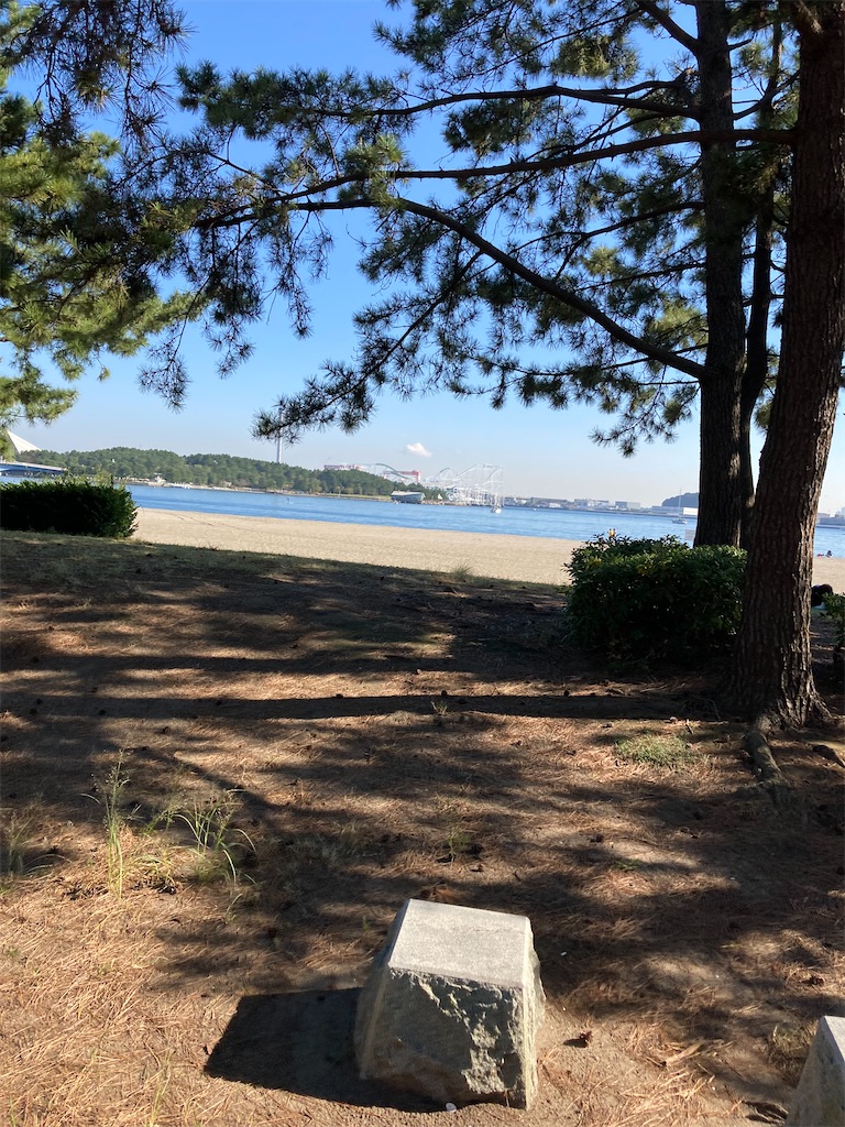 f:id:herecomesthesun3180:20211030191331j:image