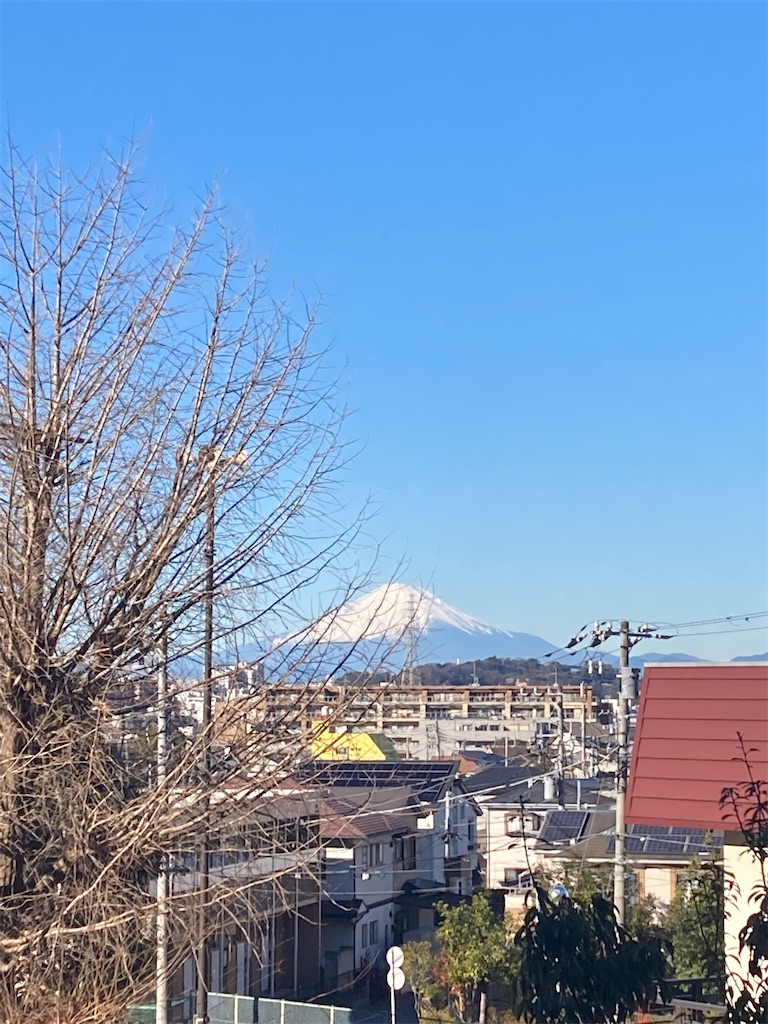 f:id:herecomesthesun3180:20220101151146j:image f:id:herecomesthesun3180:20220101151146j:image