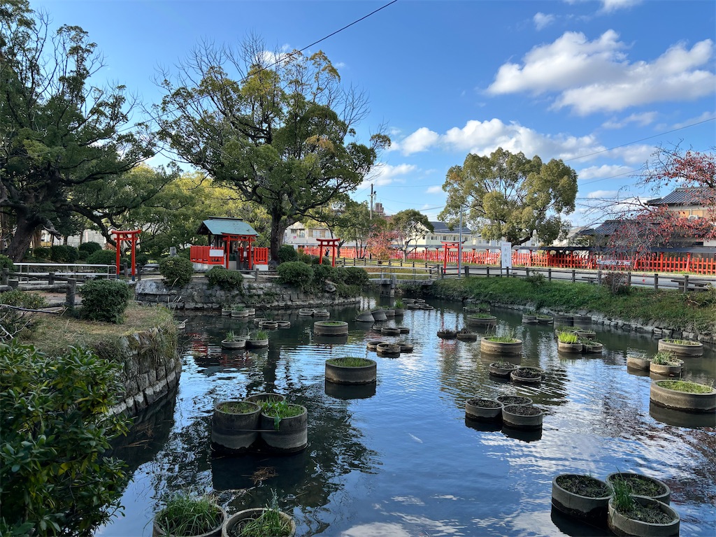 f:id:hermanas:20251224163659j:image