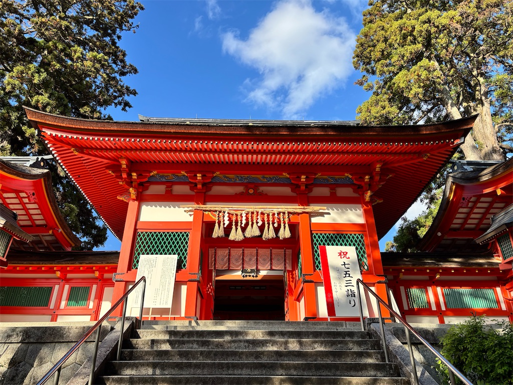 f:id:hermanas:20251224163708j:image