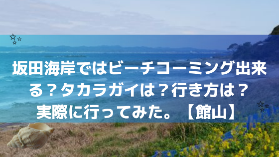 坂田海岸ではビーチコーミング出来る？タカラガイは？行き方は？