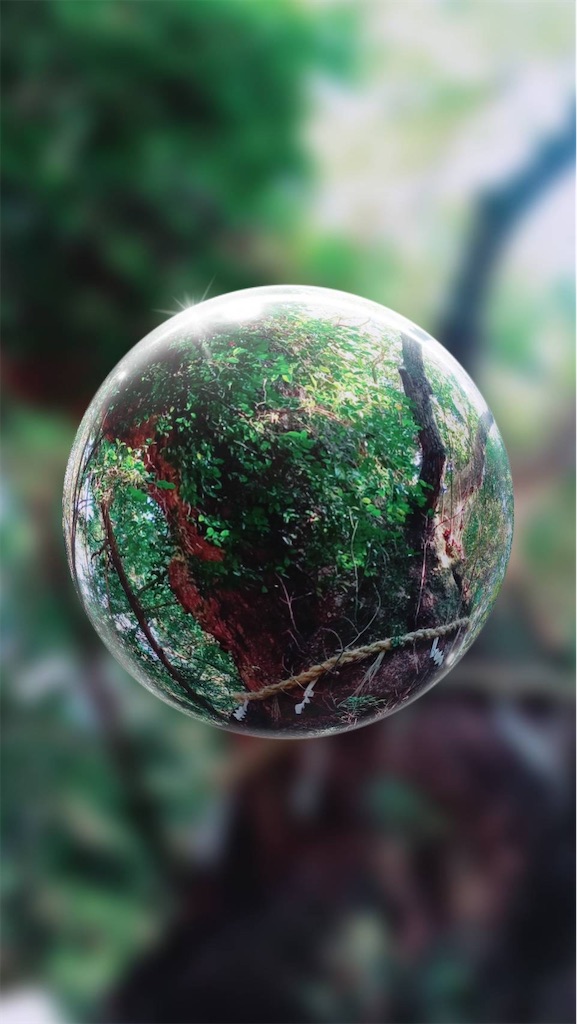 f:id:hermosasflores:20220106154530j:image