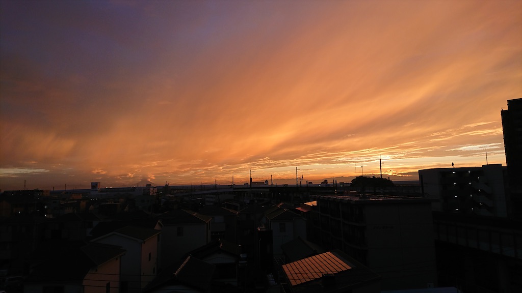 f:id:hermosasflores:20220131224700j:image