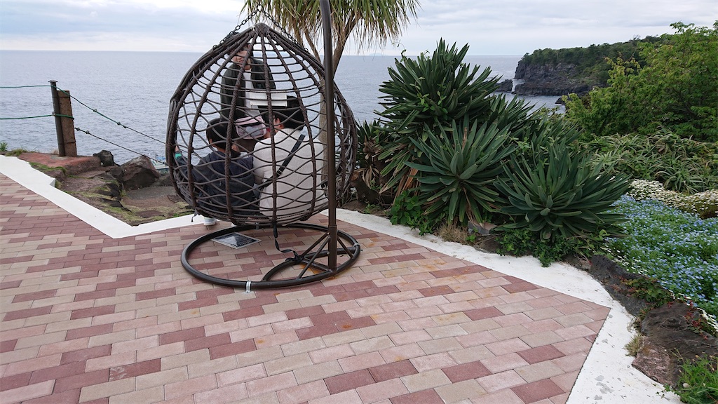 f:id:hermosasflores:20250121133450j:image