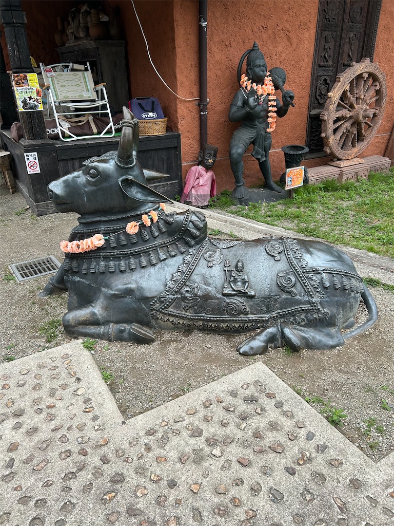 f:id:hermosasflores:20250623150612j:image