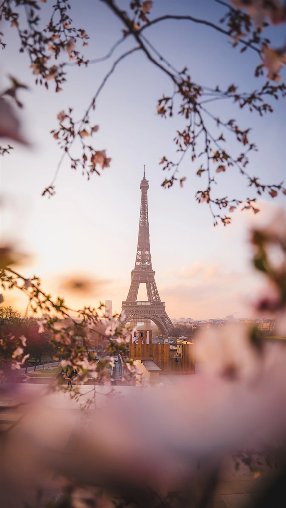 f:id:hermosasflores:20250922003702p:image f:id:hermosasflores:20250922003702p:image