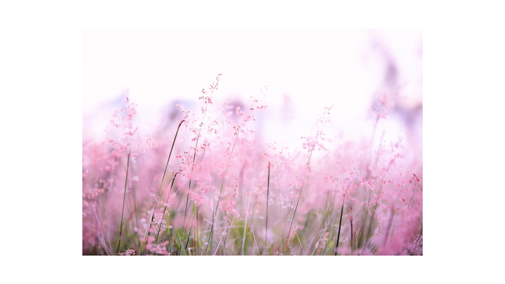 f:id:hermosasflores:20251208185253p:image