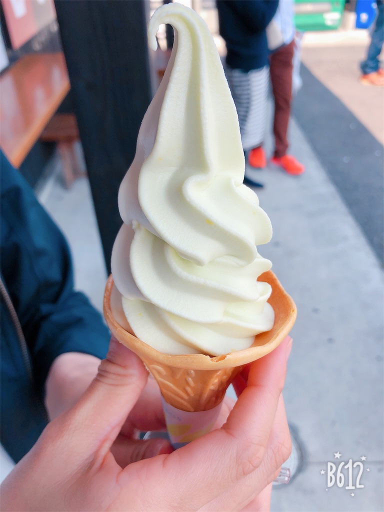 f:id:heroki4:20190407162338j:image