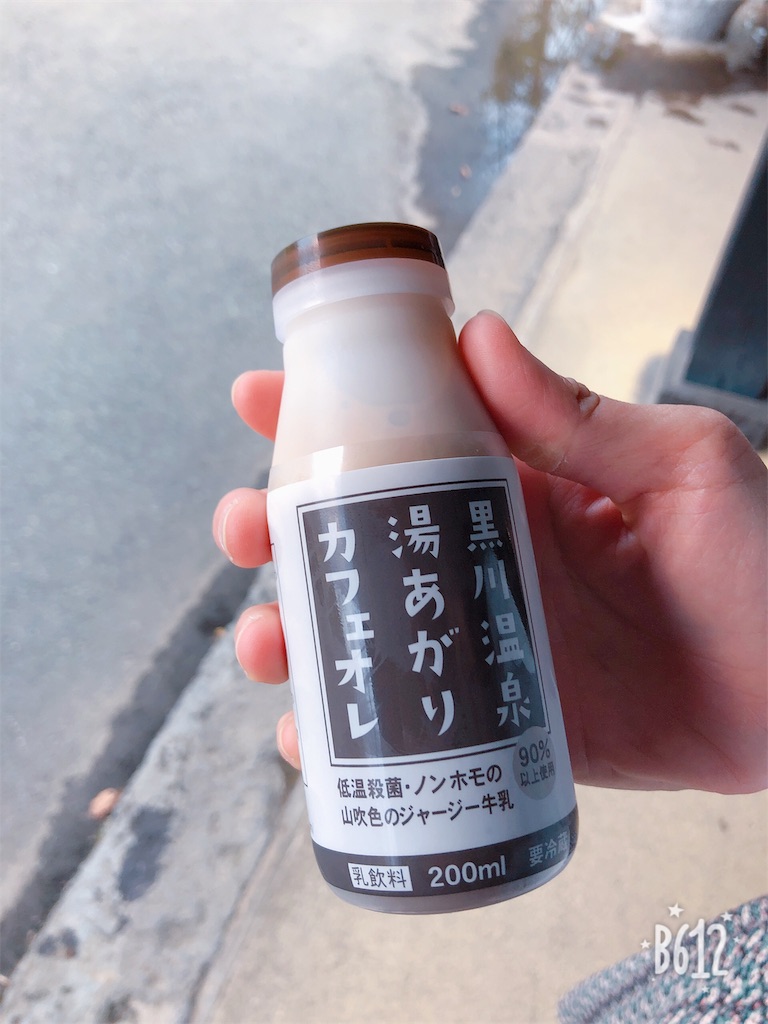 f:id:heroki4:20190409200844j:image