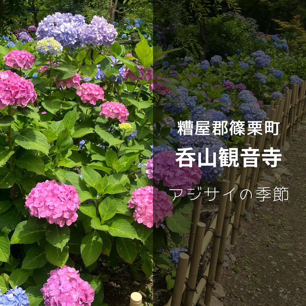 f:id:heroki4:20240601162514p:image